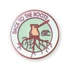 Stc I Pin – Back To The Roots